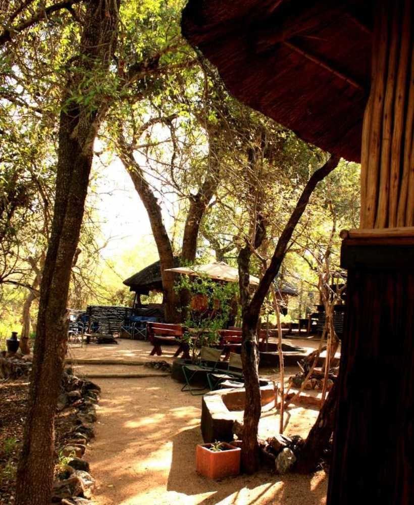 Off Beat Safaris Bush Lodge Hoedspruit Exterior photo