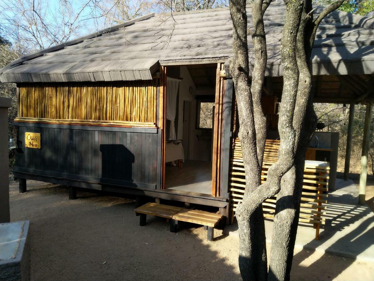 Off Beat Safaris Bush Lodge Hoedspruit Exterior photo
