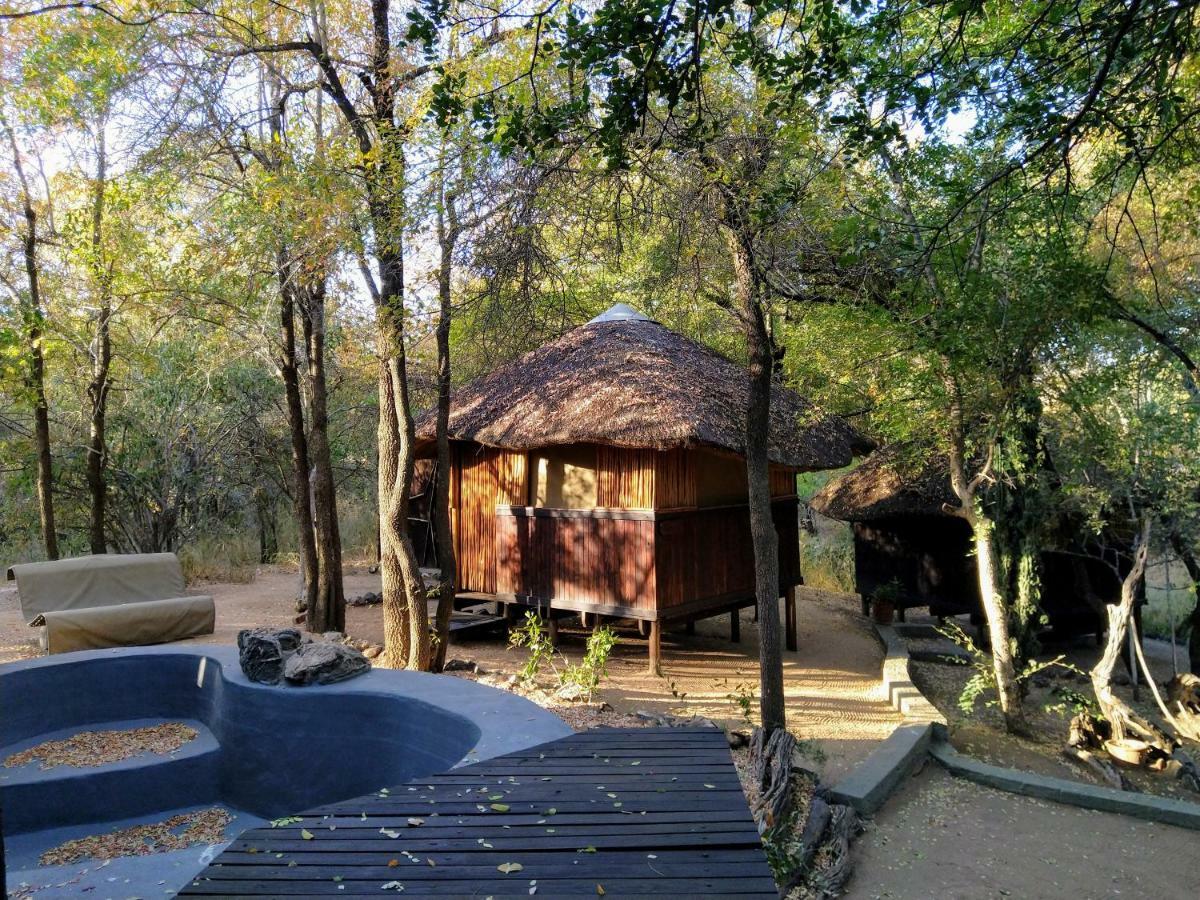 Off Beat Safaris Bush Lodge Hoedspruit Exterior photo